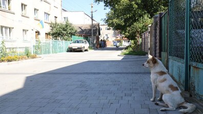 фото: Роман Балук