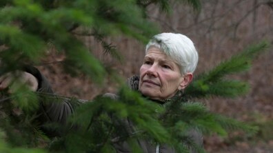 Фото: У парку імені І. Франка проведуть омолоджувальну стрижку близько 100 кущів: мешканців запрошують на майстер-клас