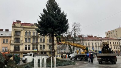 Фото: Головну ялинку Львова демонтували та відправили на утилізацію (відео)