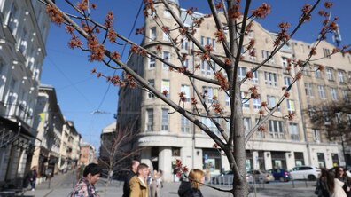 фото Романа Балука для Львівської міської ради 