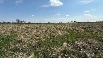 Широке поле вкрите сухою, подекуди зеленою травою. Над полем блакитне небо й білі хмари. В далині видніються дерева