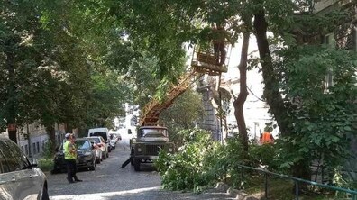 Фото: У Личаківському районі стартувала санітарна обрізка дерев: водіїв просять не паркувати авто біля місць робіт