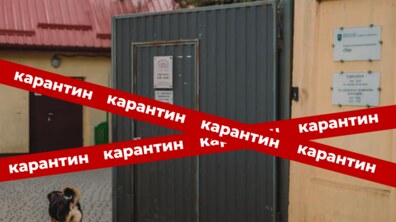 Фото: ЛКП «Лев» готується до щорічного планового карантину, який триватиме з 1 по 14 січня