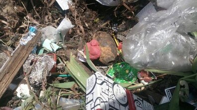 Фото: На вул. Алмазній, 21 у сміттєвих майданчиках виявили предмети, схожі на гранати