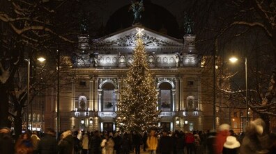 Нічна площа перед львівською оперою, у центрі якої встановлена висока різдвяна ялинка, прикрашена теплими вогнями. Перед будівлею видно багато людей, які прогулюються та зупиняються біля святкової ялинки.