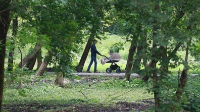 Фото: Управління безпеки міста спільно з Нацгвардією перевірятимуть парки та лісопарки на вихідних