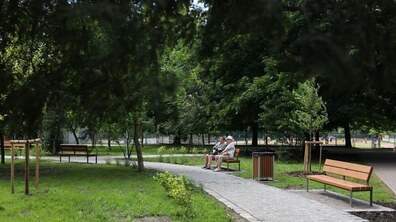 Пішохідна алея, обабіч якої встановлені дерев'яні лавки. Ростуть молоді дерева та зеленіє густа трава. Фото ілюстративне.
