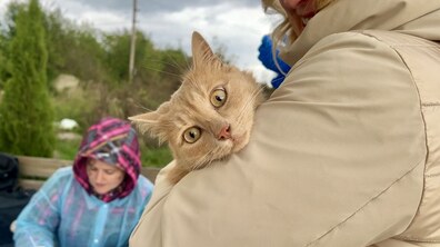 Фото: У Підбірцях безкоштовно вакцинуватимуть домашніх тварин від сказу: мешканців запрошують реєструватись
