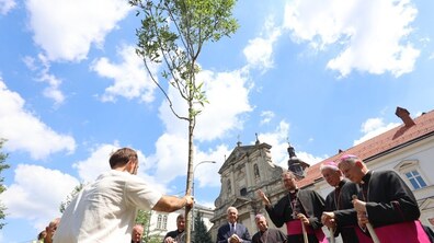 (Біля храму духовенство у чорно-малинових рясах та представники міської влади висаджують молоде дерево – ясен