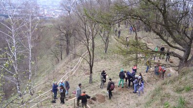 Фото: У Львові відновлювали Черешневий гай Климентія Шептицького