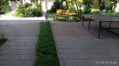 Фото: Міська рада оголошує конкурс на найгарніший дворик Львова