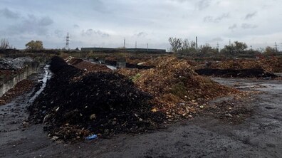Два довгі насипи з опалого, пожовклого та сухого листа й грунту на міській компостувальній станції під сірим, хмарним небом