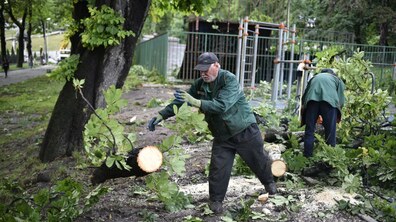 фото ілюстративне, автор: Маркіян Лисейко