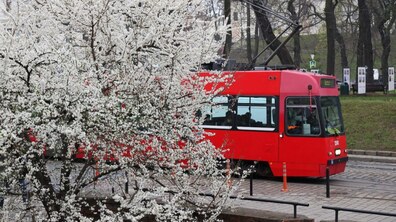 Фото - Роман Балук