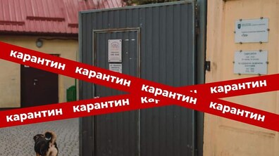 Фото: ЛКП «Лев» готується до обов’язкового щорічного карантину