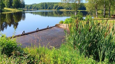Фото: Місто отримало грант на розроблення водної стратегії у Львівській громаді