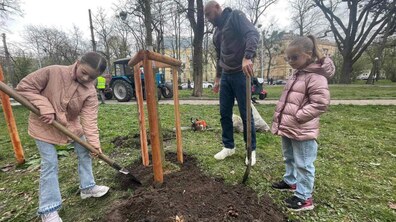 Фото: 8 дерев висадили у сквері Романа Іваничука