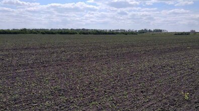 Фото: Результати моніторингу: місто виявило понад 120 га захопленої землі, серед них - цвинтар