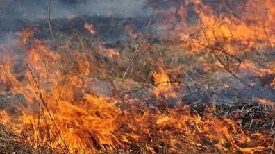 Фото: Синоптики застерігають про туман і високу пожежну небезпеку на завтра
