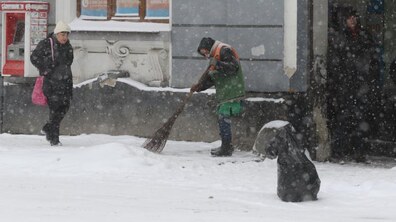 фото умовне, автор: Роман Балук