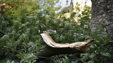 фото з архіву, автор: Маркіян Лисейко