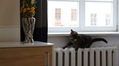 фото ілюстративне, автор: Роман Балук