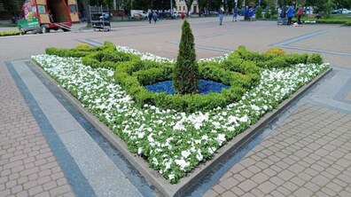 Фото: Біля пам’ятника С. Бандері облаштували квіткові клумби