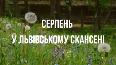 Фото: Шевченківській гай запрошує на кінопокази: розклад сеансів на серпень