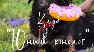 Фото: ЛКП «Лев» запрошує дітей до клубу «Юного кінолога»