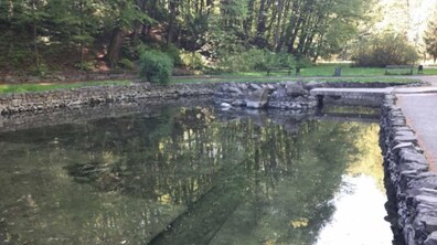Фото: Штучні озера у лісопарку «Погулянка» наповнили водою