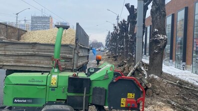 Фото: «Тополі вздовж корпусів колишнього ЛАЗу буде замінено на платани», - Олександра Сладкова
