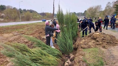 Фото: На Голосківському цвинтарі висадили 5 кленів та 120 ялівців
