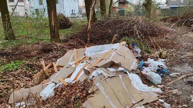 Фото: Під час толоки у Брюховицькому парку ліквідували стихійні сміттєзвалища