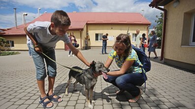 Фото: ЛКП «Лев» прозвітувало про діяльність у 2019 році