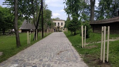 Фото: З нагоди свого 90-ліття в Україні Ротарі-клуб заснував іменну алею у Шевченківському гаю