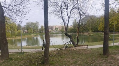 у парку, обабіч великого озера, відламалася кількаметрова гілка від дерева. Повз понищене негодою дерево по алеї проходить жінка.