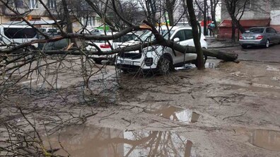 вул. Петлюри 2