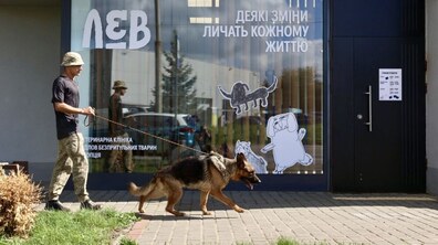 Хлопець вигулює німецьку вівчарку. Вони проходять повз будівлю Центру адопції ЛКП “Лев”. На вікнах центру наліпки з зображенням тварин, емблема ЛКП “Лев” та напис: “Деякі зміни личать кожному життю”