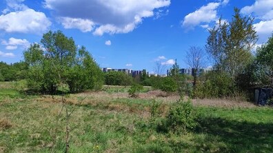 Земельна ділянка, заросла травою та чагарниками. Позаду подекуди ростуть дерева. Вдалині – видніються багатоповерхові будівлі