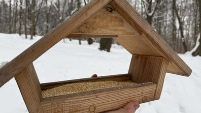 Рука тримає дерев’яну годівничку з їжею для птахів всередині в одному з парків міста. На фоні дерева та сніг