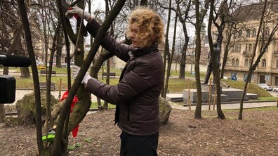 Фото: У Львові обрали 9 міських садівників