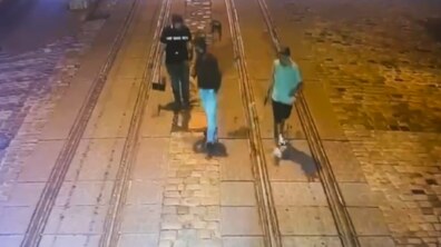 Фото: Вночі у центрі Львова компанія молодиків викрала таблички біля дерев: частину порушників затримали