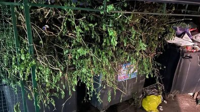 Фото: Містянам вчергове нагадують: гілля дерев, старі меблі, побутову техніку не можна викидати у звичайні контейнери