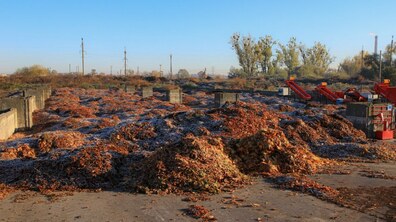 Фото: На станцію компостування у Львові за один день привезли 62 машини органіки