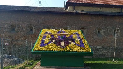 Фото: У Львові висадили перші квіти: 1408 штук віол заквітчали «квітковий годинник» біля пл. Митної