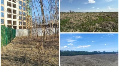 Земельні ділянки, подекуди порослі зеленою травою. На одній з фотографій, яка розташована у колажі, зображені дерева та незевершене будівництво будинку