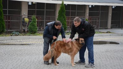 фото: Олександр Мазуренко