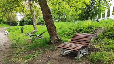 У парку декілька дерев'яних лежаків розміщені поміж дерева. Поблизу широка доріжка