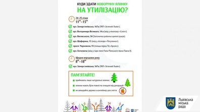 Фото: ЛКП «Зелений Львів» розпочав збір використаних ялинок на утилізацію