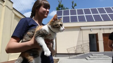 Фото: На Левандівці повторно вакцинують вуличних тварин через випадок сказу в лисиці